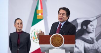 SaberesMX plataforma diseñada para democratizar el acceso a la educación a lo largo de la vida.